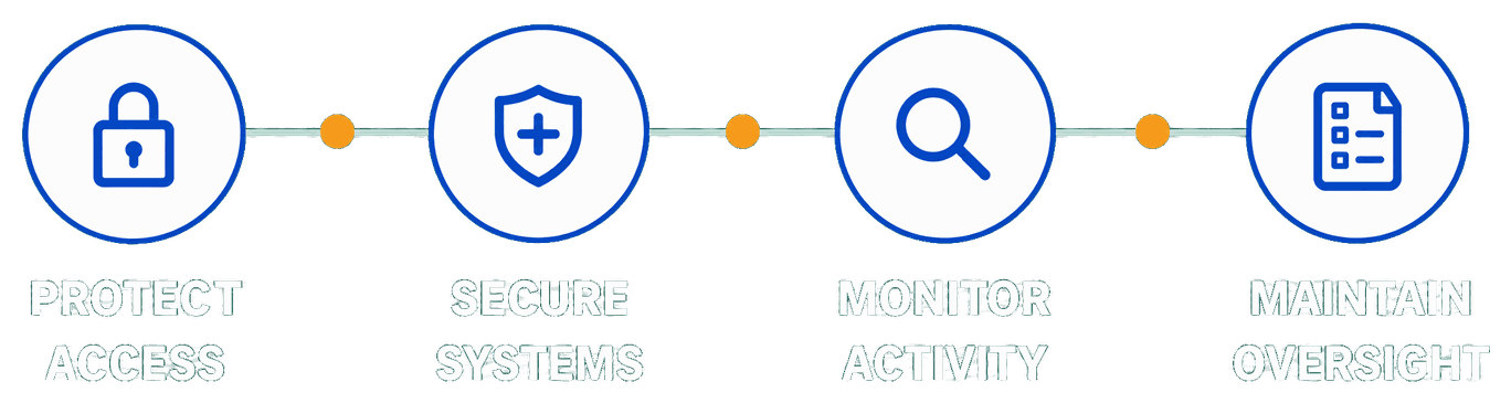 Protect access, secure systems, monitor activity, maintain oversight
